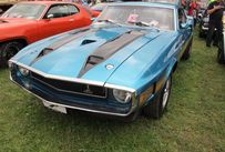 Trimoba AG / Oldtimer und Immobilien,Ford Mustang Shelby GT500  Fastback1969; 428cui,  CobraJet, 360PS, V8