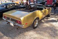 Trimoba AG / Oldtimer und Immobilien,Ford Mustang  1972; 351 Engine, V8